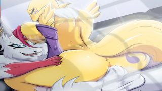 Cat hentai riding furry porn