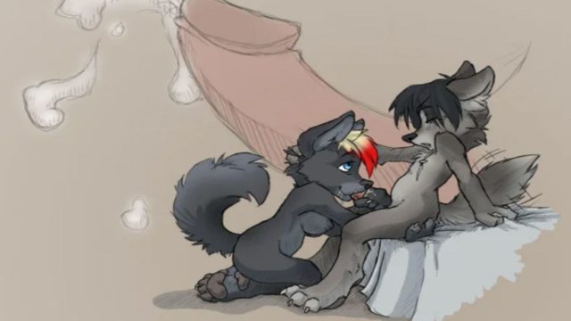 Dog sucking dick hentai furry porn xxx